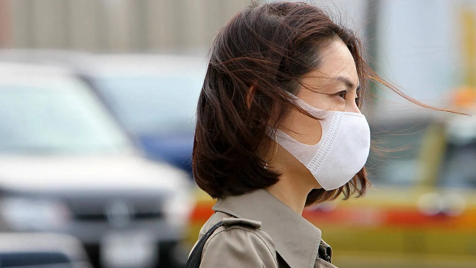 Japonya'nın 70 yıl önce aldığı bir karar, bütün ülkeyi nasıl alerji kâbusuna sürükledi?