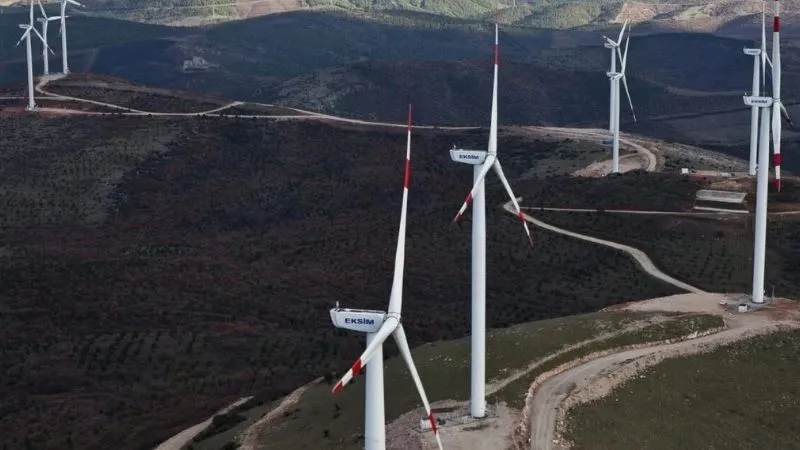 Edirne'de binlerce ağacın kesileceği Cengiz Elektrik'in santral projesine bakanlıktan onay!