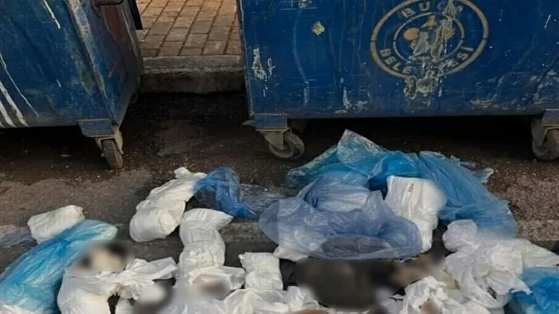 Çöp poşetlerinde 33 ölü kedi bulunmuştu: Savcılık serbest bırakma kararına itiraz etti