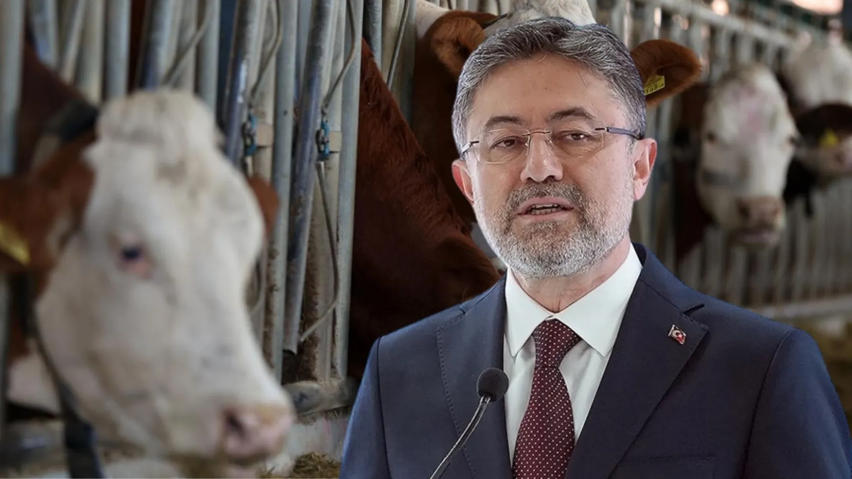 Bakan Yumaklı: Üreticilerin elinde kalan kurbanlıklar Et ve Süt Kurumu tarafından satın alınacak