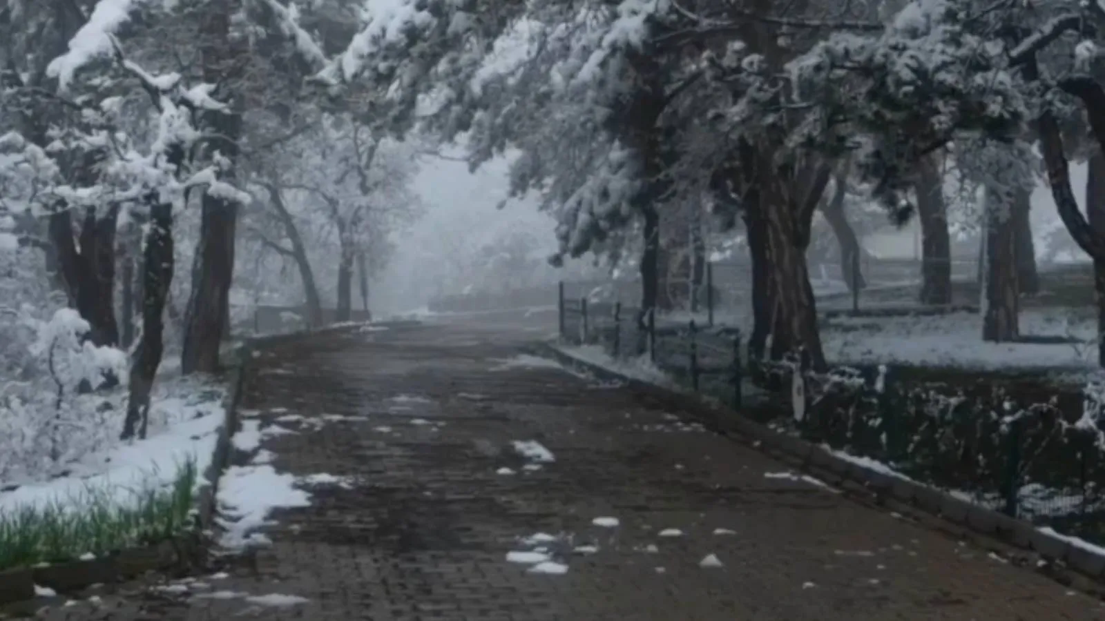 ☔️ Pazar günü Türkiye'nin neredeyse tamamı için yağış uyarısı
