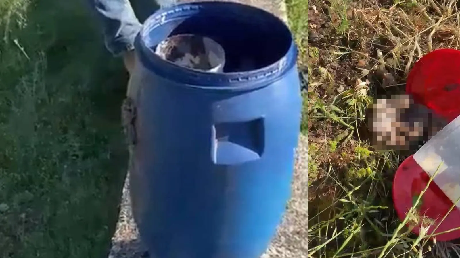 Mezarlıktaki plastik varilde 21 insan cenini bulundu!