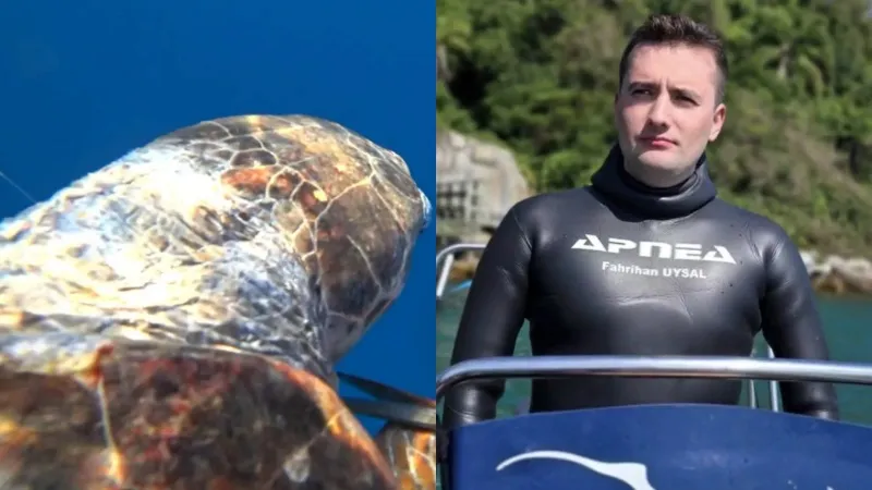 Milli sporcu deniz kaplumbağasını kurtardı