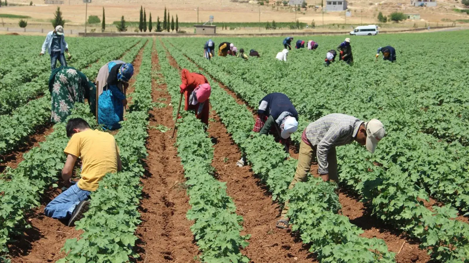 Yargıtay’dan tarım Bağ-Kur kararı: EYT kapsamı genişleyebilir