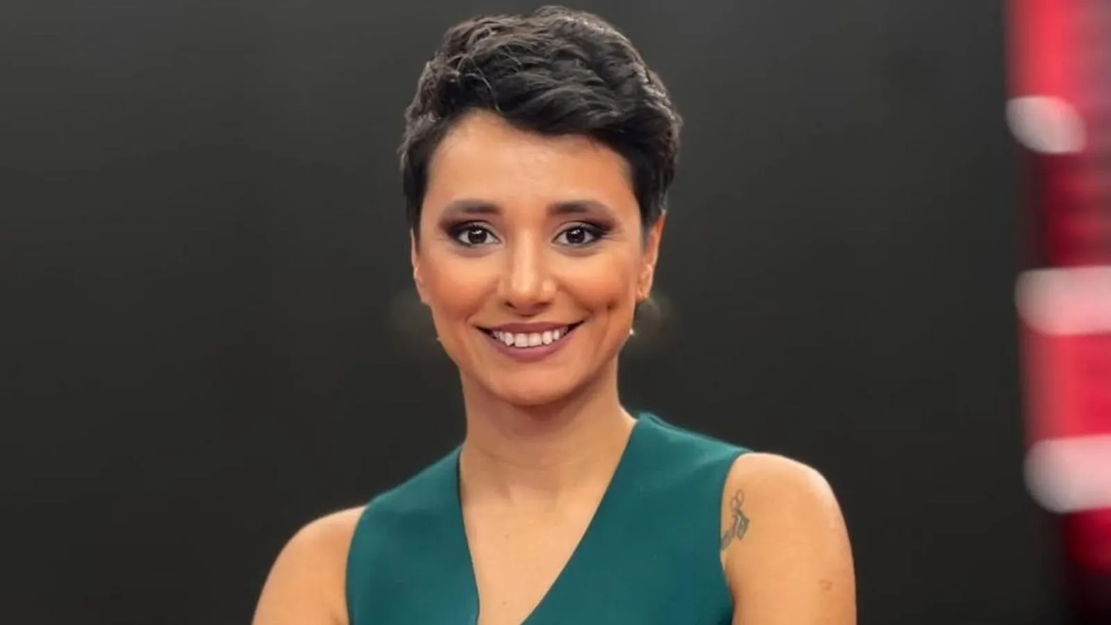 Gazeteci Şule Aydın hakkında 81 ilin emniyetine e-posta ile ihbar: “Cumhurbaşkanına hakaret”, “casusluk” ve “ajan faaliyetleri” ile suçlanıyor