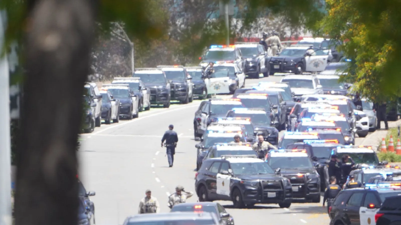 Kalifornia'da camiye silahlı saldırı