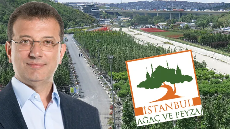 İBB soruşturması kapsamında Ağaç ve Peyzaj A.Ş.'ye operasyon: 30 kişi hakkında gözaltı kararı!