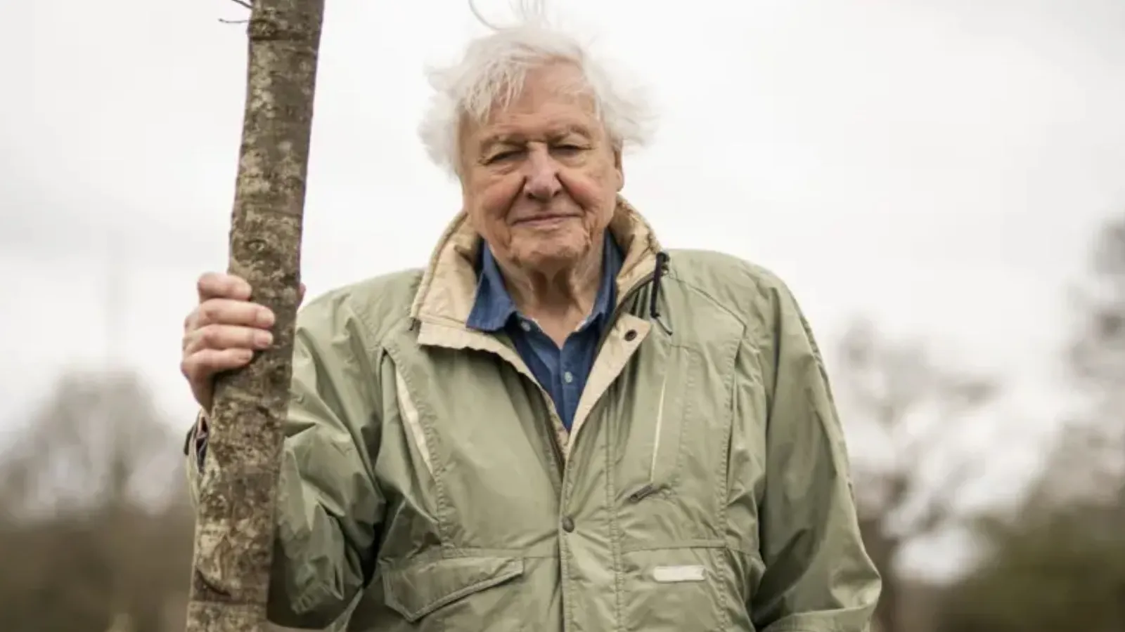 David Attenborough: Doğaya bakışımızı değiştiren belgeselci 100 yaşında