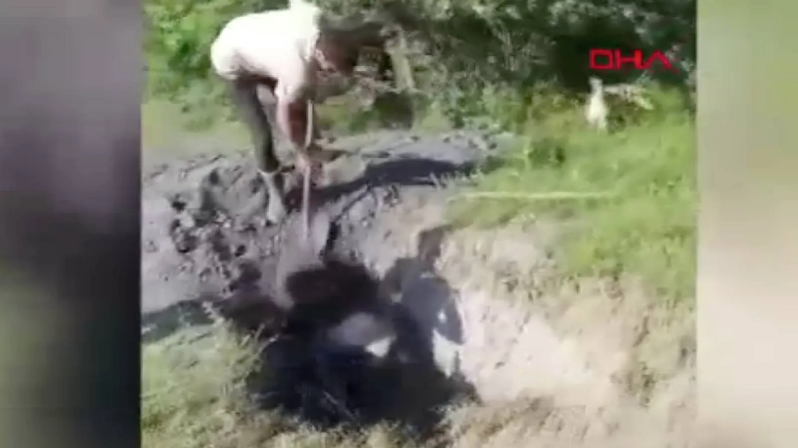 Define aramak için kazılan kuyuya düşen inek kurtarıldı