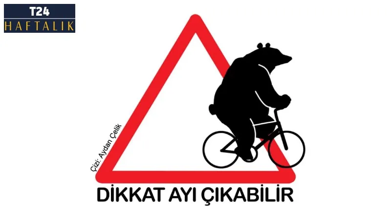 Dikkat ayı çıkabilir!