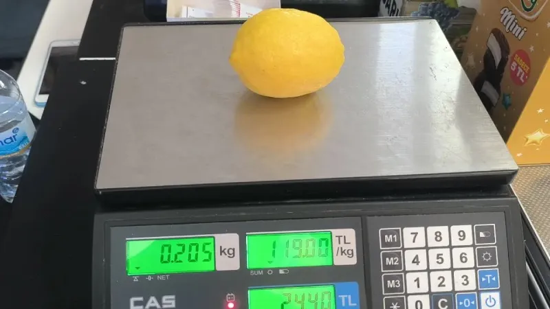 Dört ayda 191 milyon dolarlık ihracat yapan Türkiye'de limonun tanesi 24 lira!