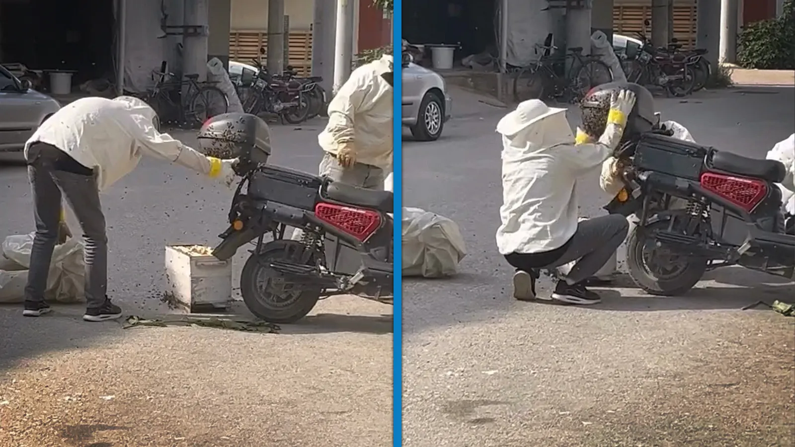 Motosiklette toplanan arıları, özel kıyafetiyle kovana topladı