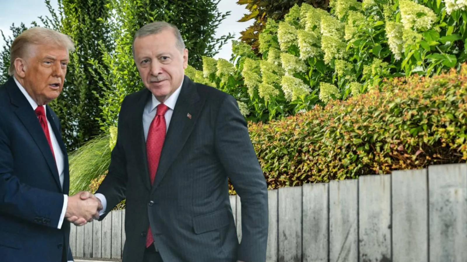 NATO Zirvesi hazırlıkları sürüyor: Ankara’da 70 milyon liralık dikey bahçe ihalesi