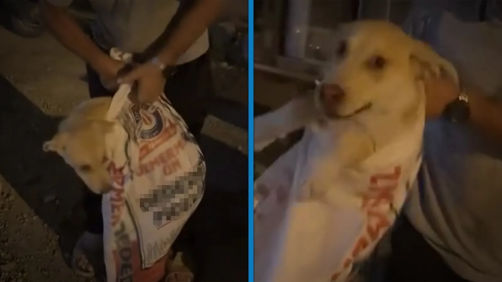 Çuvala koyulan köpeği, hayvansever kadın kurtardı