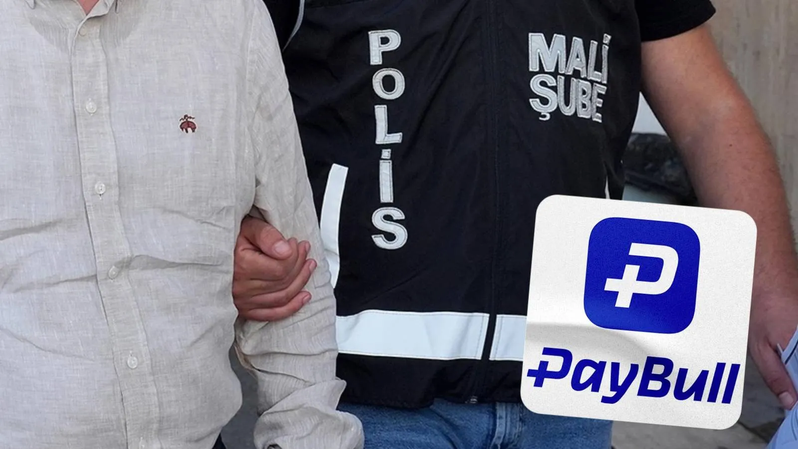 Cumhuriyet yazarı Ağırel: Paybull dosyası milyarlarca liralı