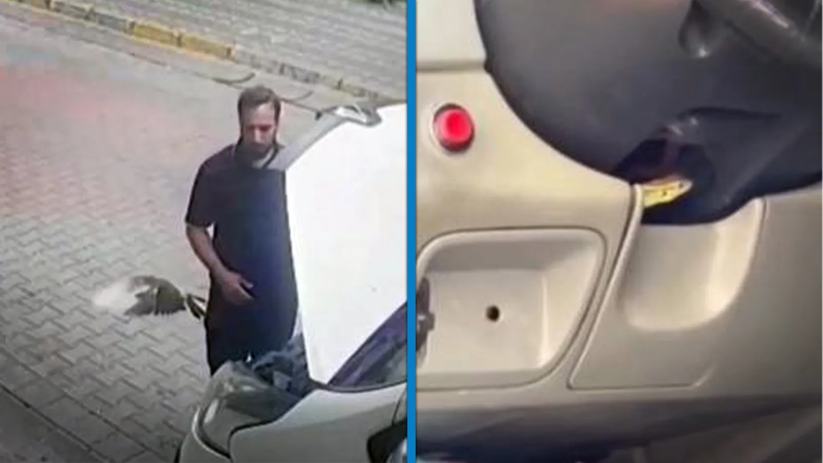 Sultangazi'de kaputun altından kuş, direksiyonun içinden kertenkele çıktı