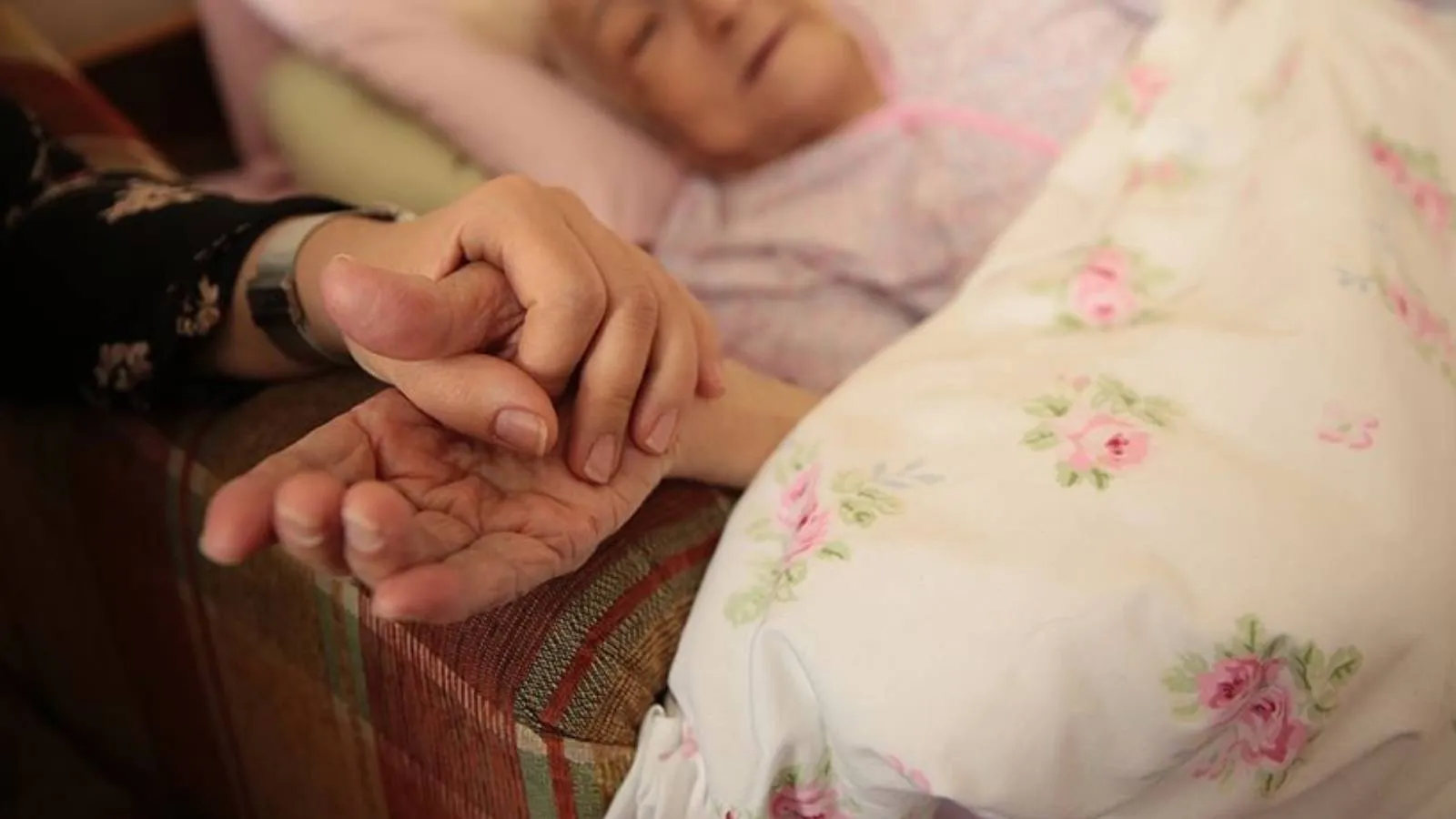 Evde sağlık ve palyatif bakım hizmetlerinin sunumu ve koordinasyonuna ilişkin yönetmelik yürürlükte: Düzenli tıbbi takip gereksinimi olan hastalara evde sağlık hizmeti verilebilecek