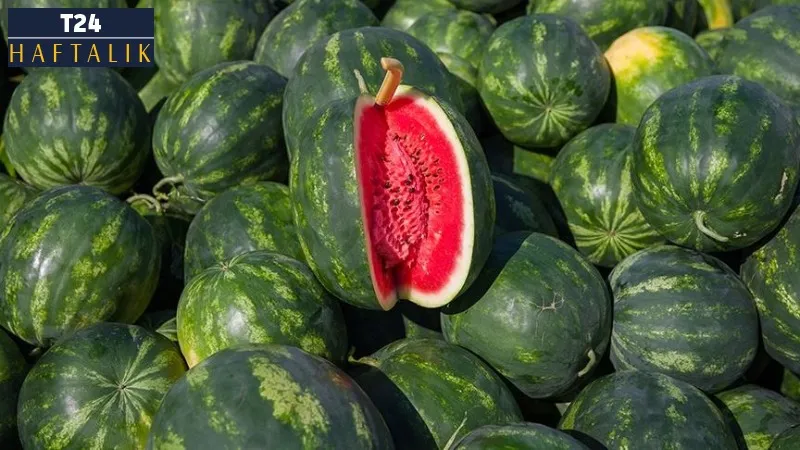 Karpuzun tadı neden kaçtı? Kabak aşısı tüketiciyi karpuzdan uzaklaştırıyor mu?
