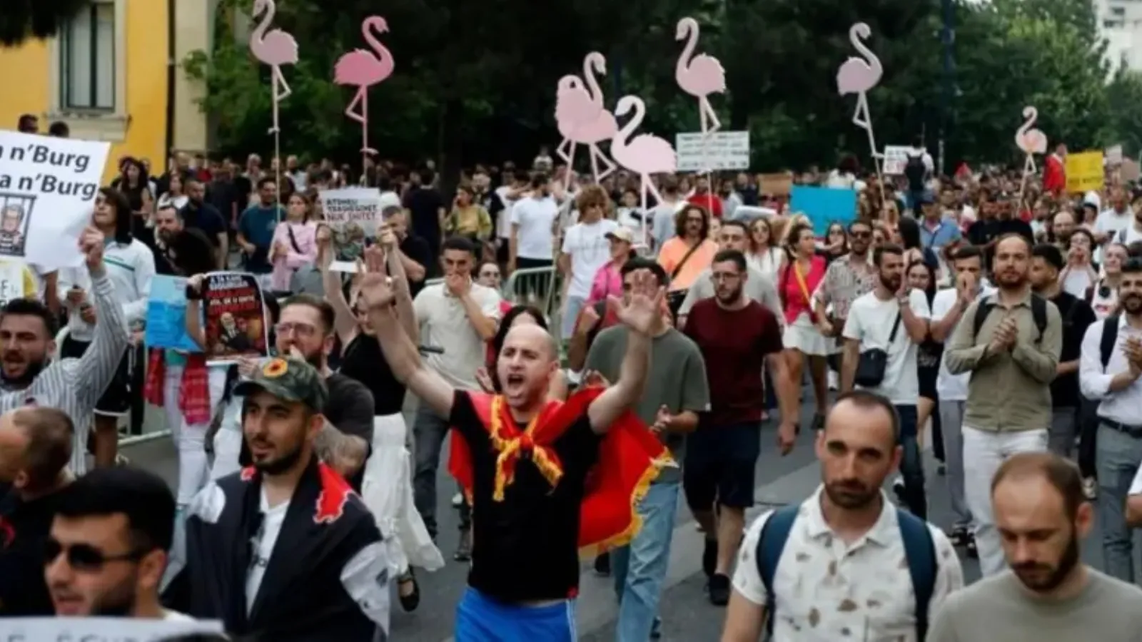 Arnavutluk'ta 'flamingo' protestoları: Nasıl başladı, neler 