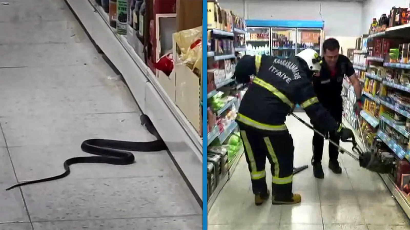 Kahramanmaraş'ta markete giren yılanı itfaiye çıkardı