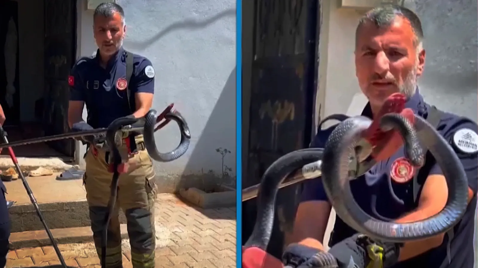 Evin lavabosuna giren yılanı ekipler çıkardı