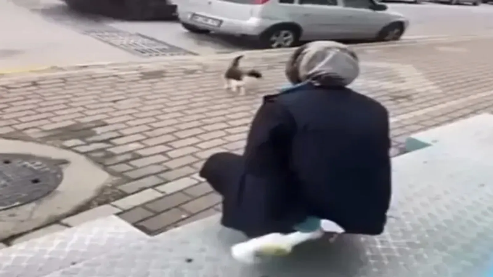 Kedinin yüzüne sprey sıkan market çalışanına ilk duruşmada beraat!