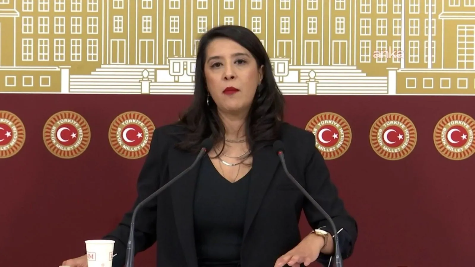 EMEP’li Karaca’dan Hiranur Vakfı kurucusunun tahliyesine tepki: Kimdir tarikatları çocukların adalet hakkından üstün görenler?