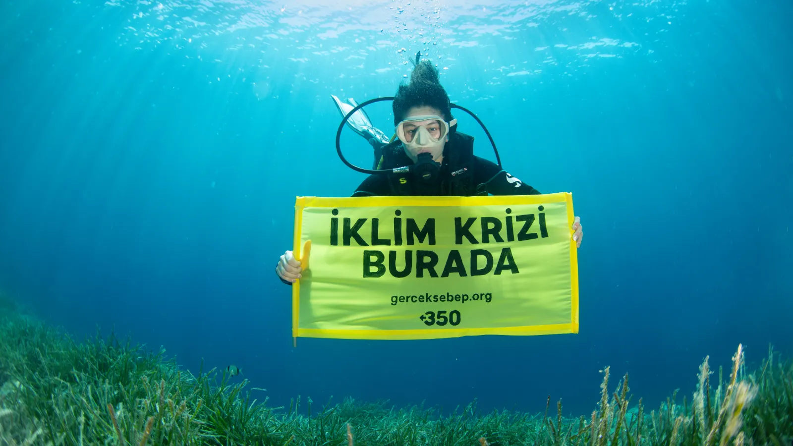 Saros Körfezi'nde deniz altında iklim krizi mesajı: Gerçek sebep fosil yakıtlar