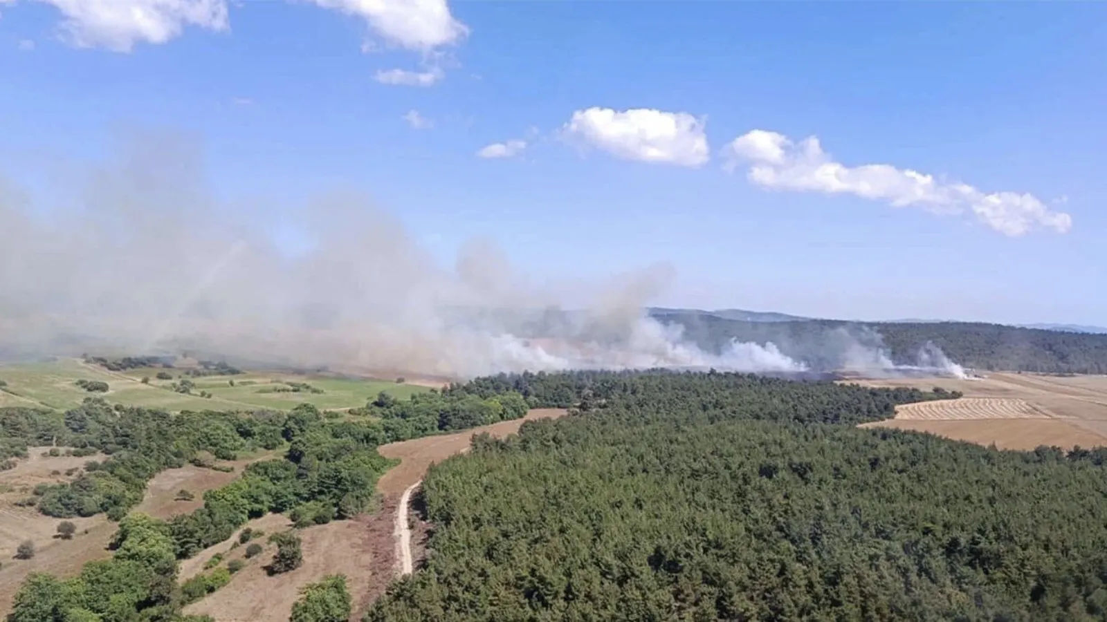 Çanakkale'de orman yangını: Ekiplerin müdahalesiyle söndürüldü