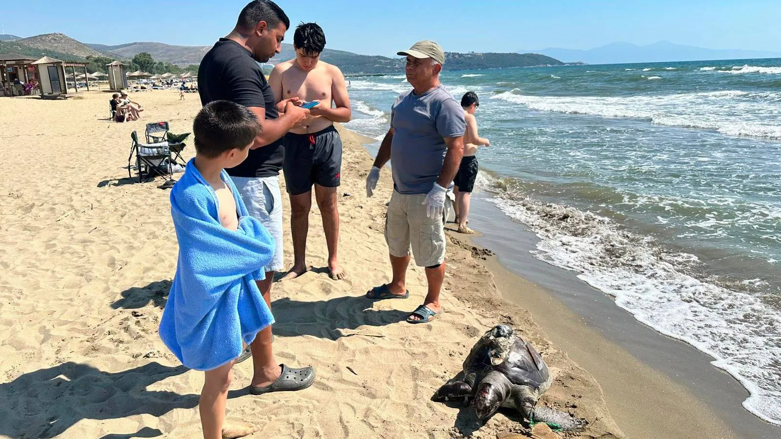 İzmir'de yüzgecine kilit taşı bağlanmış ölü deniz kaplumbağası bulundu: Aletle vurarak öldürmüşler