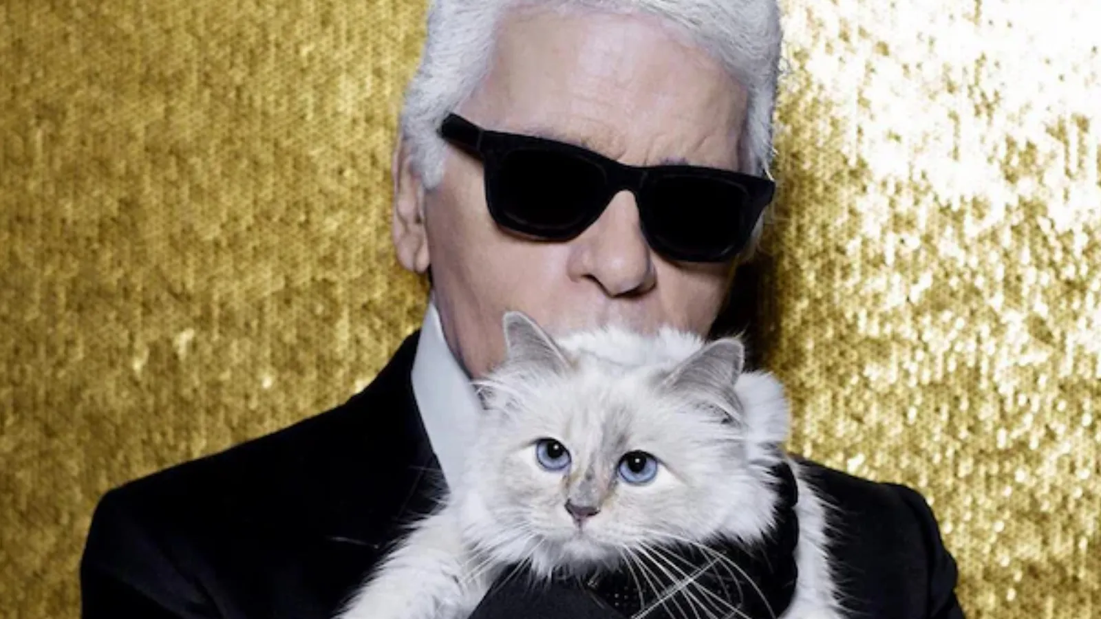 Karl Lagerfeld'in 1,7 milyon Euro bıraktığı kedisi Choupette, mirasından tek kuruş alamadı
