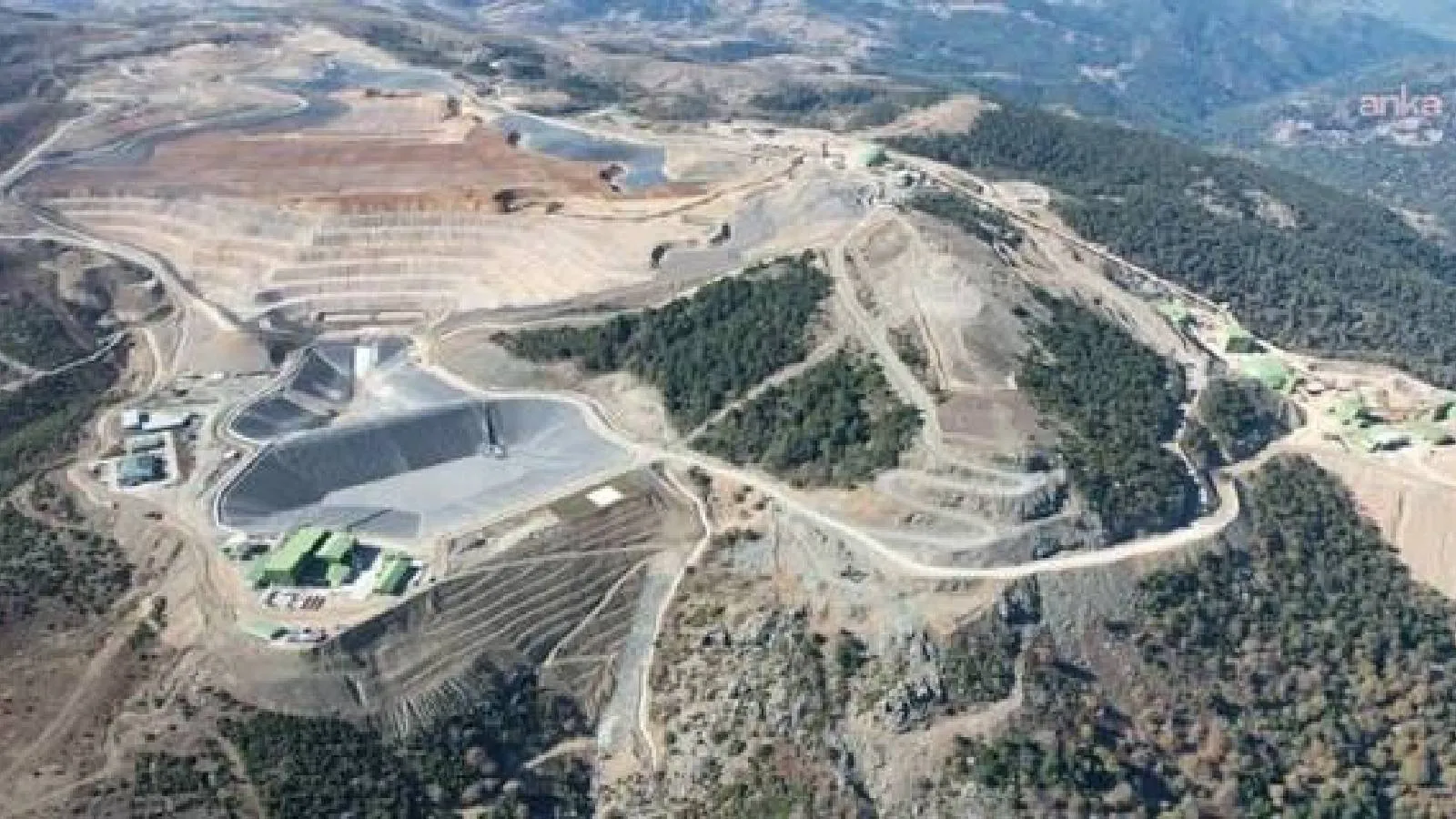 Bakanlıktan altın madeni için “ÇED olumlu” kararı: Madra Dağı’nda 66 bin ağaç kesilecek!