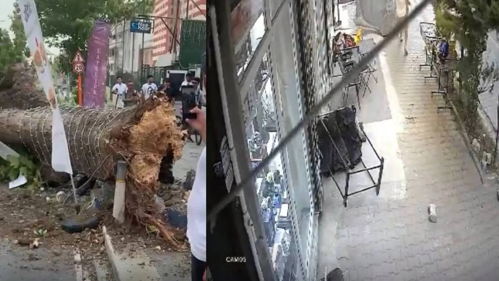 İstanbul’da fırtınaya dikkat: Bazı ilçelerde ağaçlar devrildi, çatılar uçtu