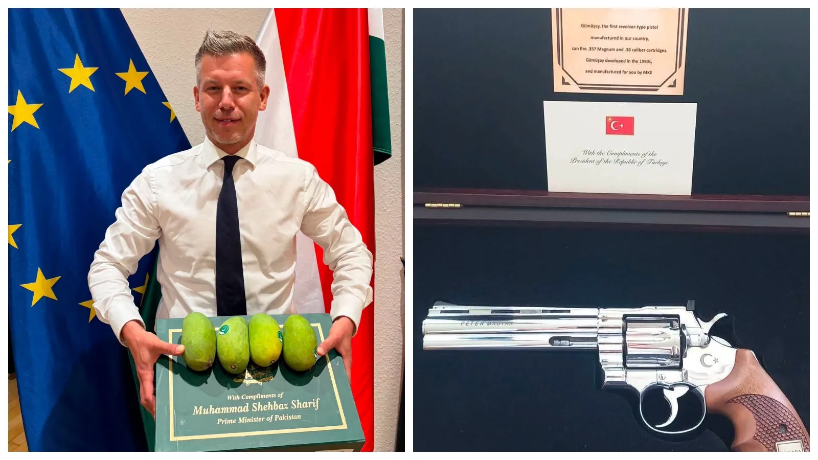 Macaristan Başbakanı Magyar, Pakistan'ın mango hediyesini paylaştı: Herkes tabanca vermiyor...