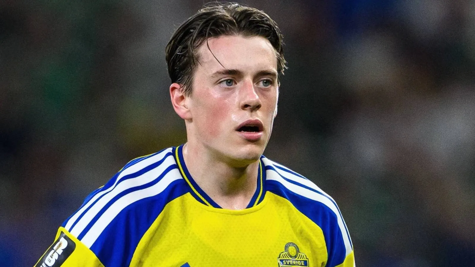 Hull City, Elliot Stroud transferinde Mjallby'yle el sıkıştı