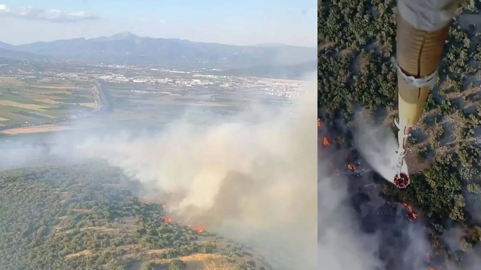 İzmir’de orman yangını