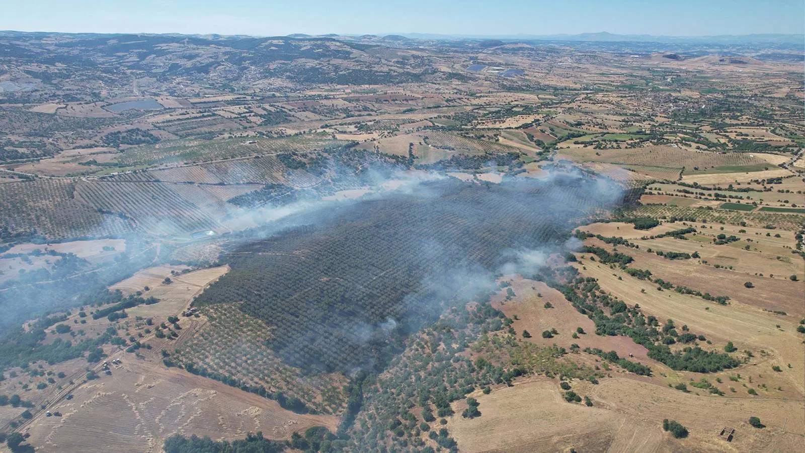 Kula'da orman yangınında 15 hektar alan zarar gördü