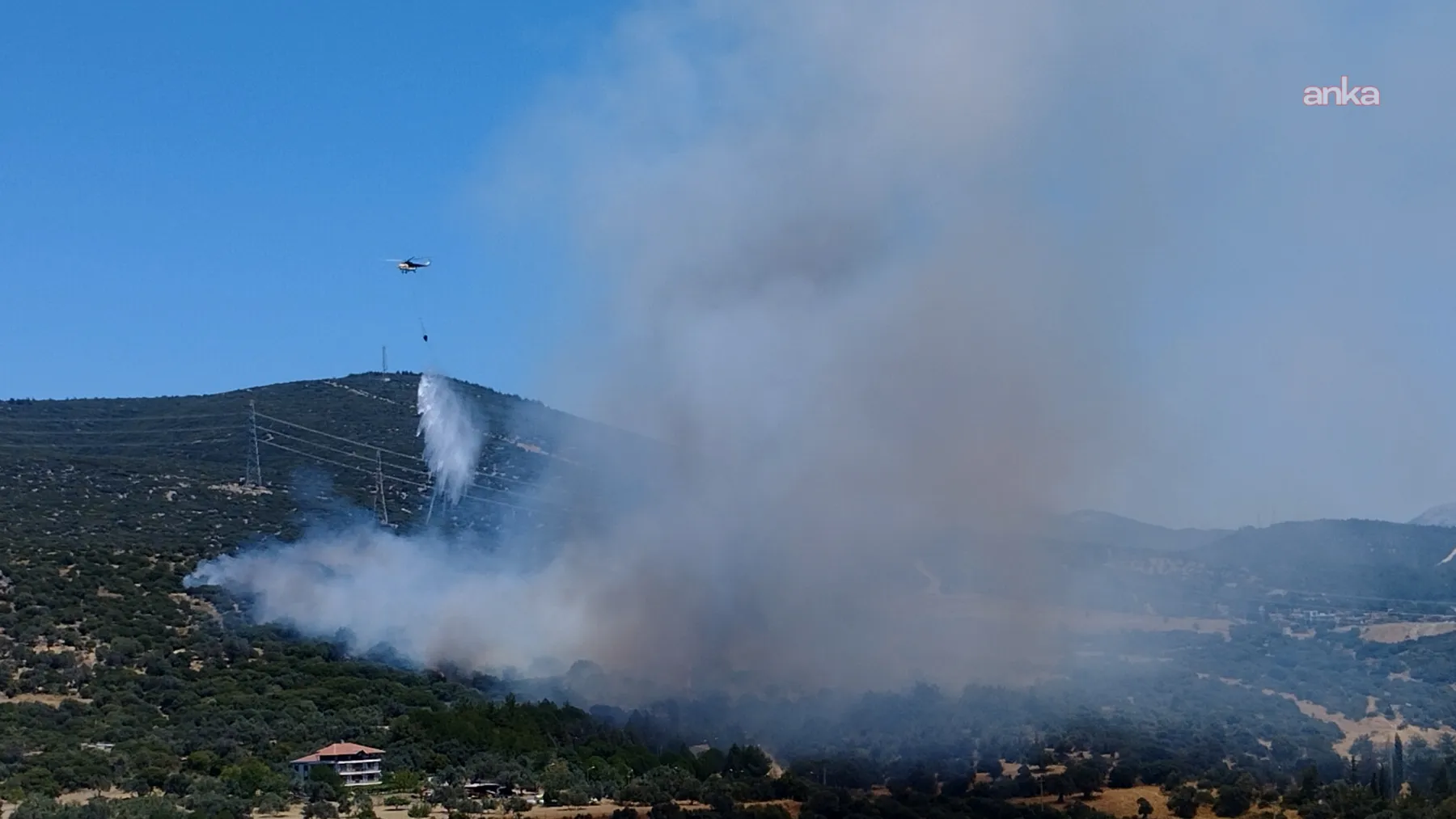 İzmir Bornova'daki orman yangını kontrol altına alındı