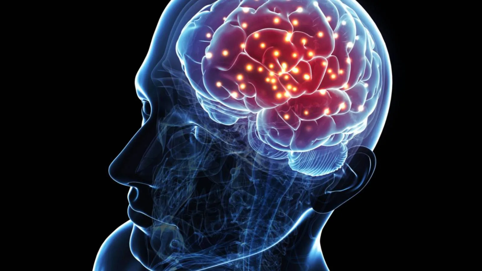 Alzheimer ve Parkinson hastaları için müjdeli haber: Hint araştırmacılar, beyin kökünün 3 boyutlu en detaylı atlasını oluşturdu
