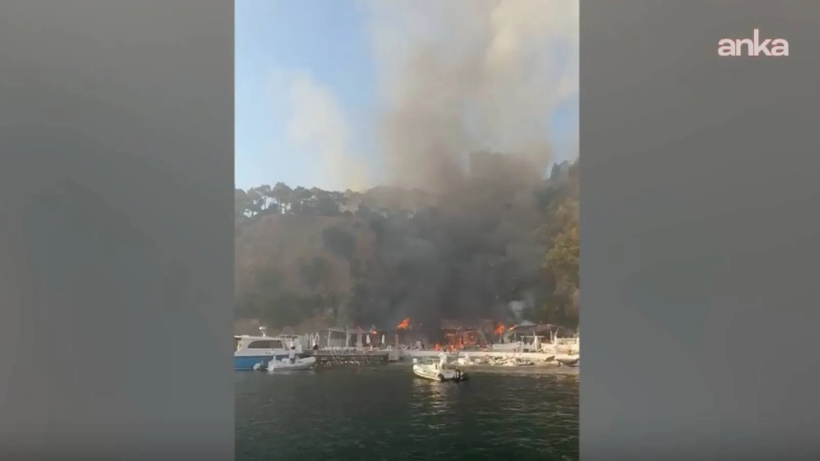 Büyükada'da plajda başlayıp ormana sıçrayan yangın kontrol altına alındı