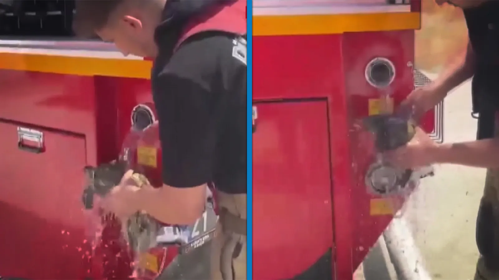 Anız yangınında kaplumbağayı itfaiye kurtardı