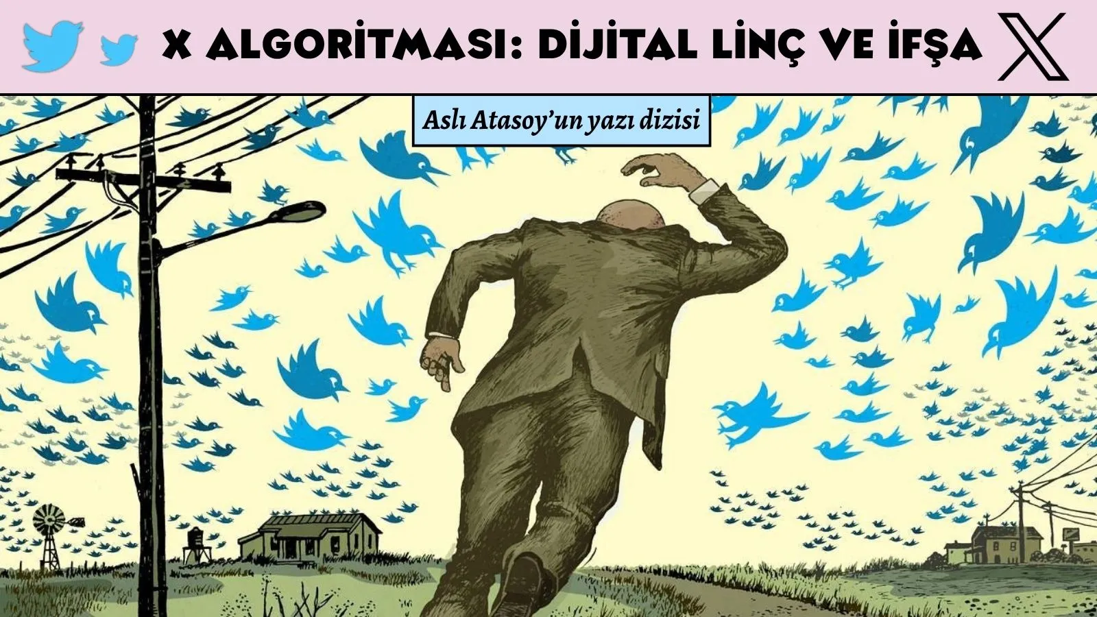 Kuş cıvıltılarından kolezyuma*