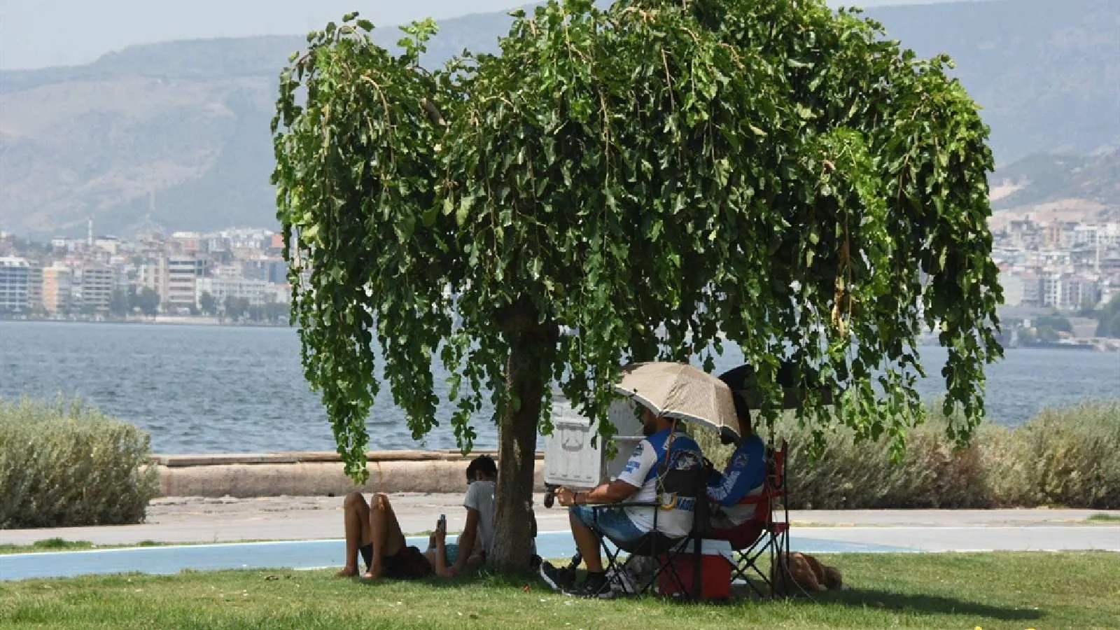 Bilinç kaybına kadar ilerleyebiliyor: Uzmanından yaşlılar ve kronik hastalar için 'sıcak çarpması' uyarısı