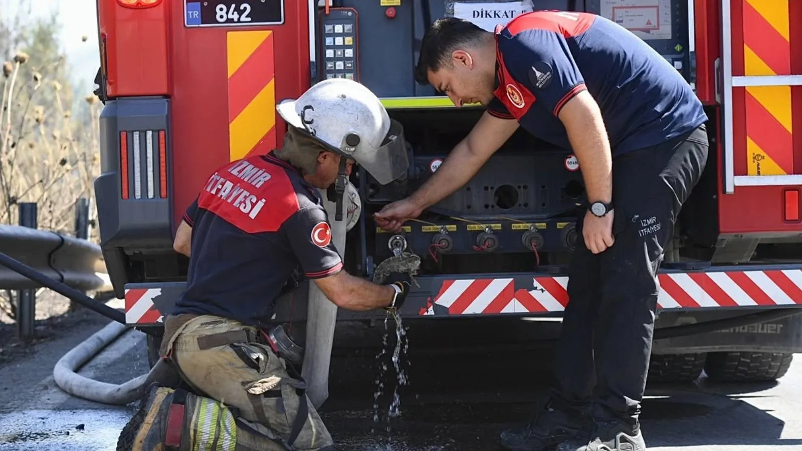 İzmir'de orman yangınında kurtarılan bukalemun doğaya bırakıldı