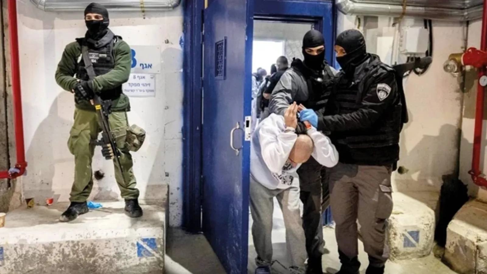İsrail, Filistinli mahkûmların tutulduğu hapishanelerin çevresindeki hendeklere timsah yerleştirmeye hazırlanıyor!