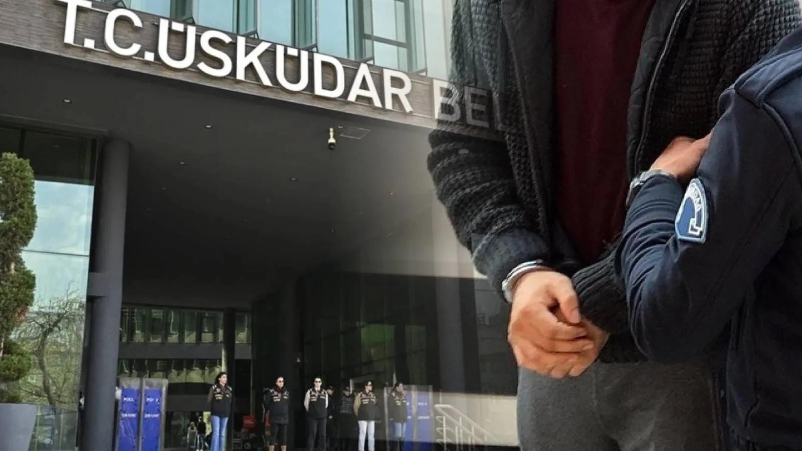 amine cansu çelik