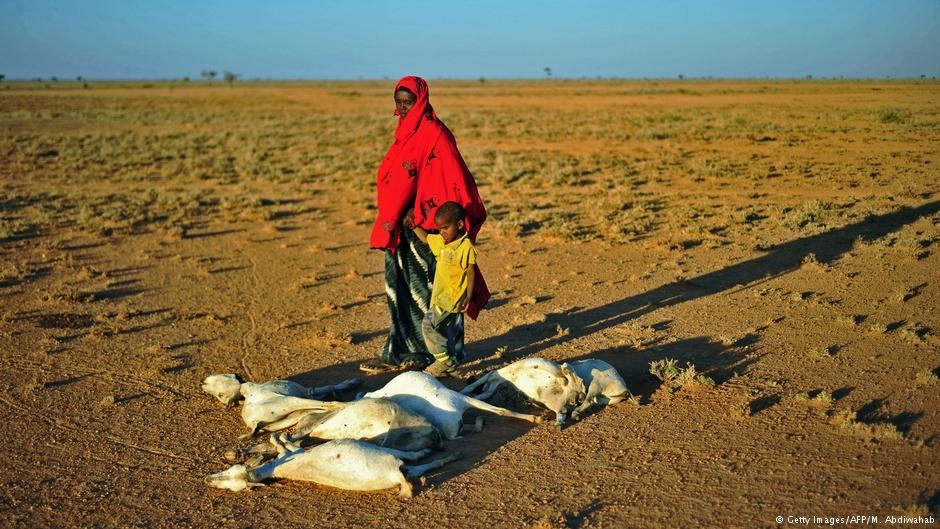 Somali'de açlık alarmı