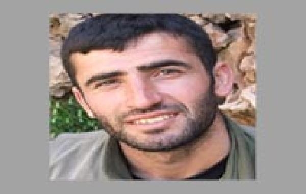 Siirt'te, 'Gri' listede aranan terörist etkisiz hale getirildi